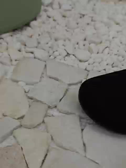 BreezeFlex™ Lightweight Walkers